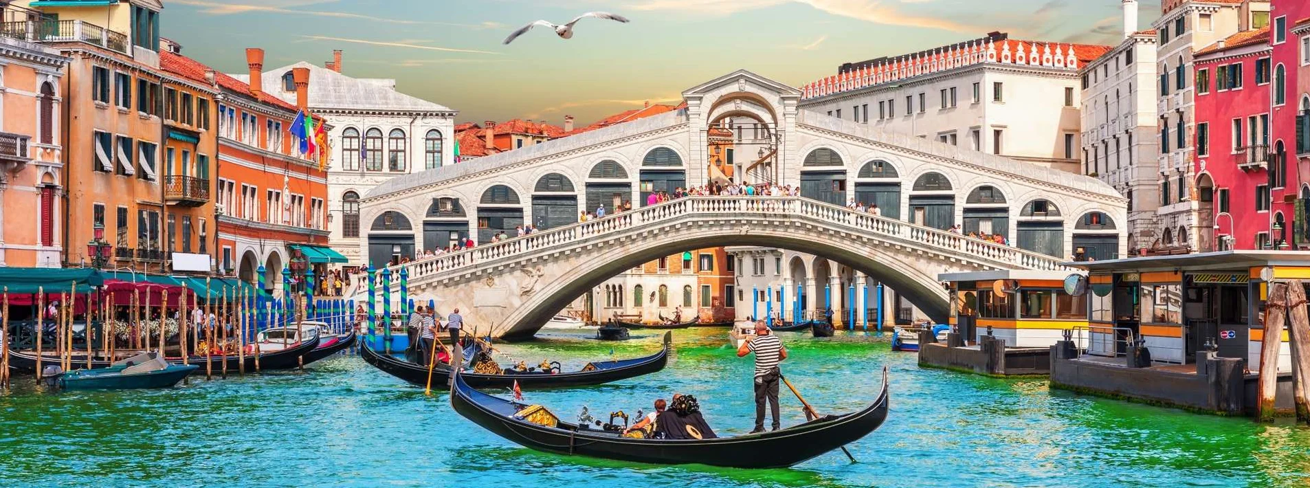 Study abroad with confidence